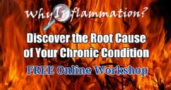 Why Inflammation? Online Workshop